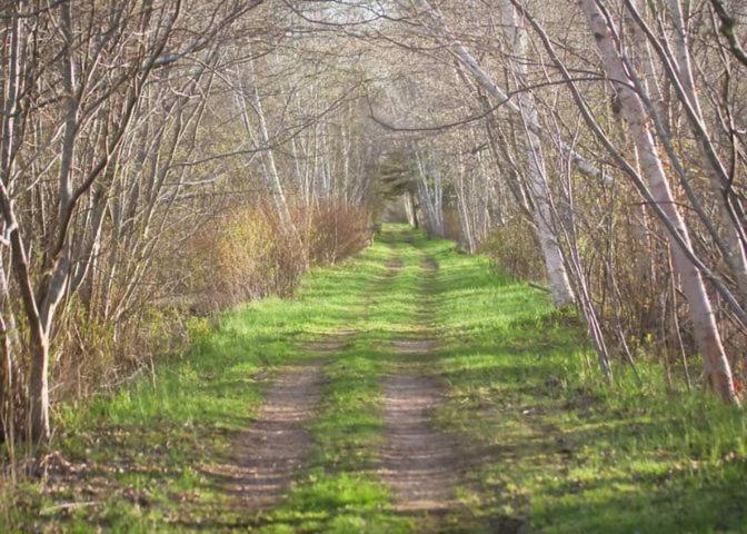 Upper Clements Cottages & Rv Park Annapolis Royal Bagian luar foto
