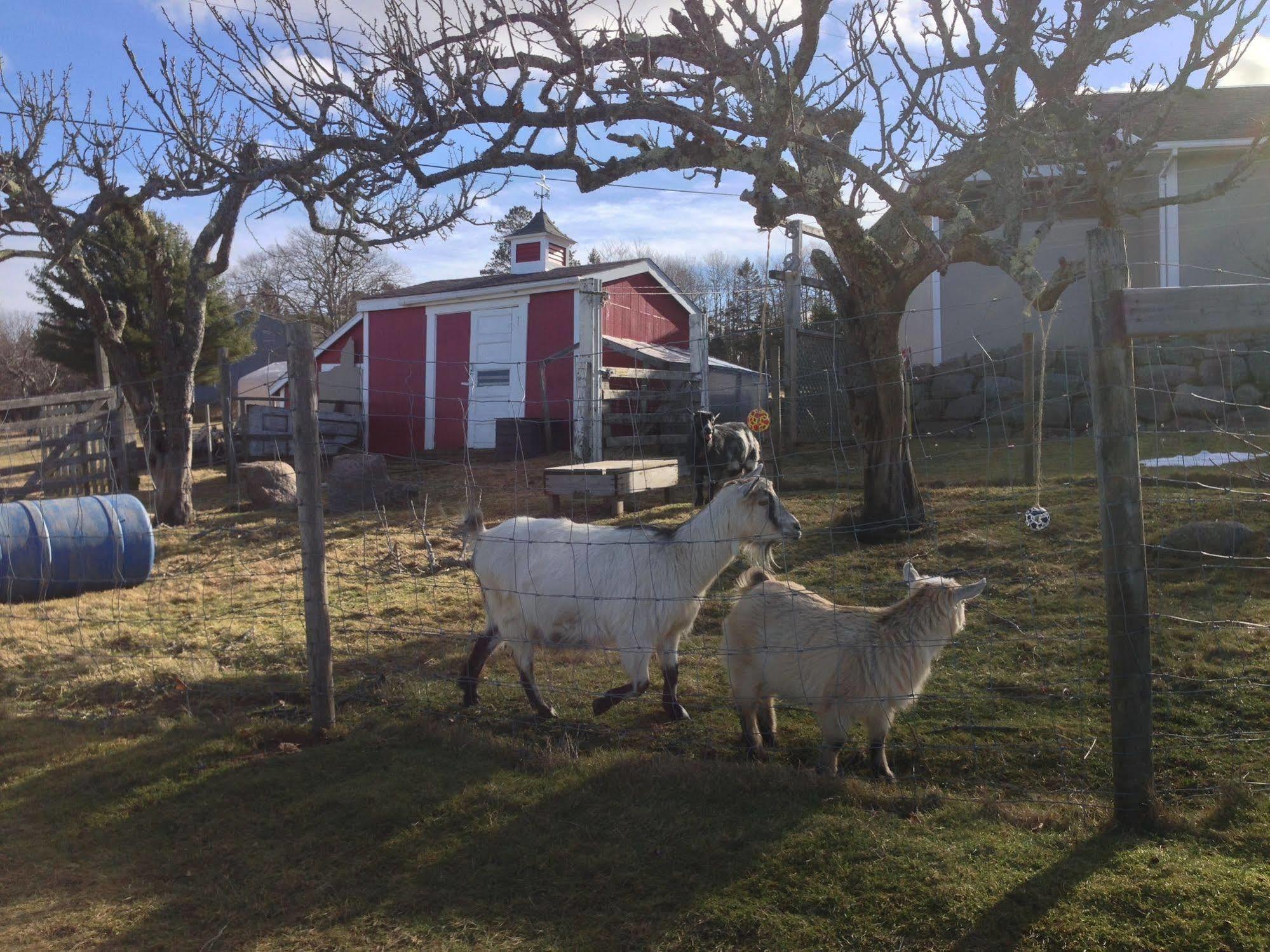 Upper Clements Cottages & Rv Park Annapolis Royal Bagian luar foto