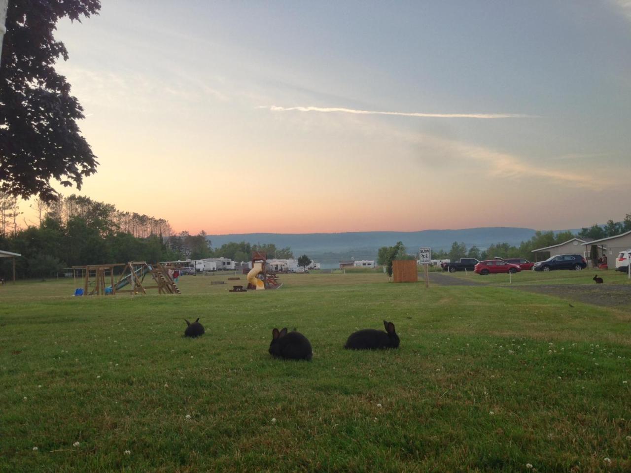 Upper Clements Cottages & Rv Park Annapolis Royal Bagian luar foto